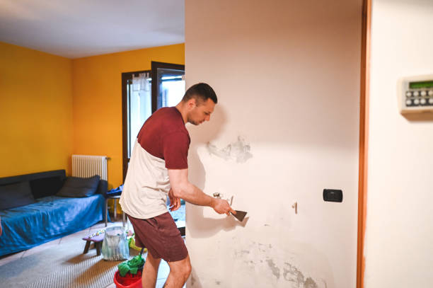Best Crawl Space Mold Removal  in Minot Af, ND