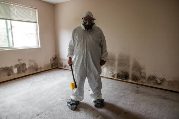 Best Professional Mold Removal  in Minot Af, ND